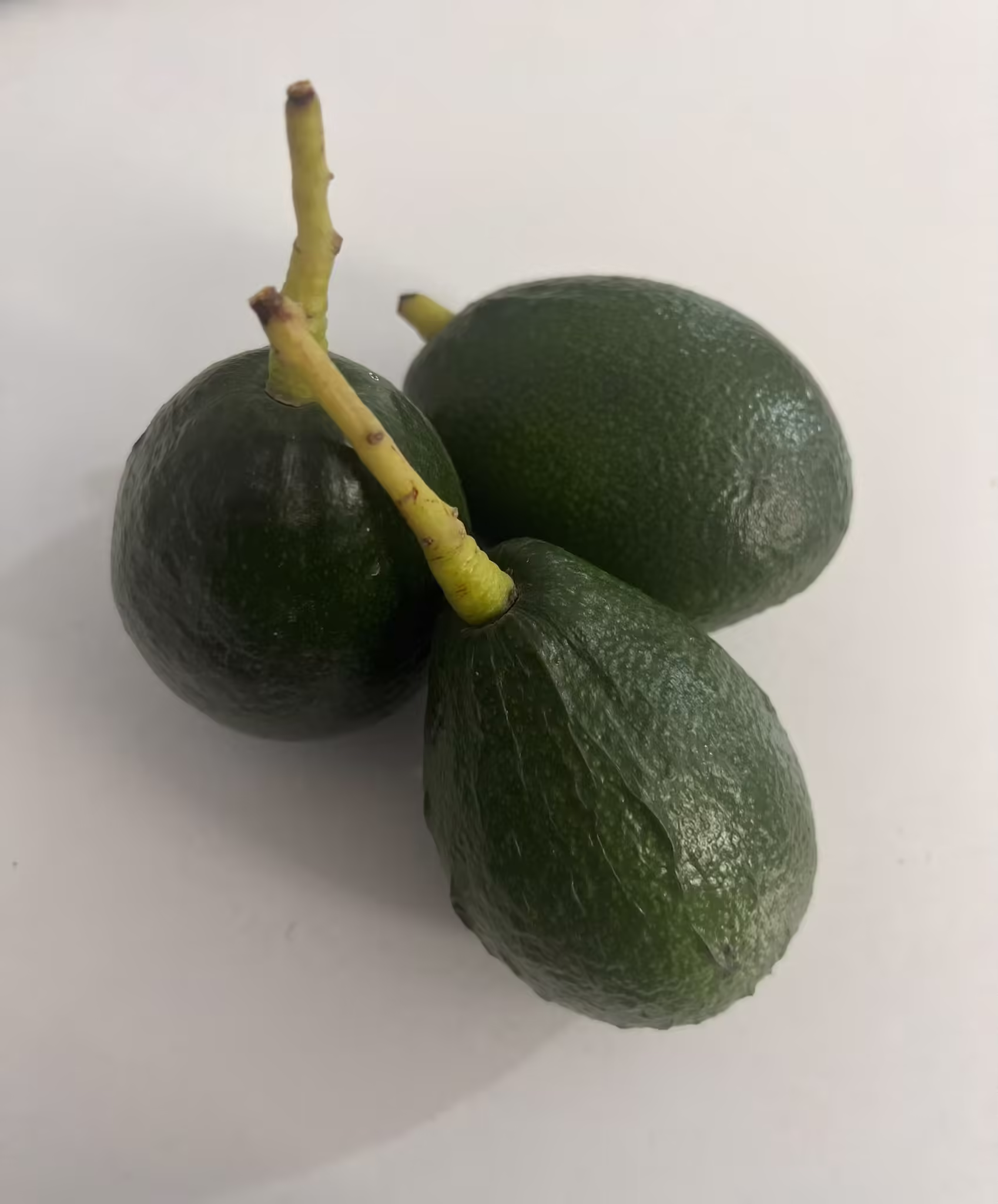 AVOKADO 1 KG